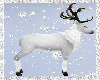 reindeer shorts