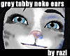 Grey Tabby Ears