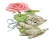 kitten and rose