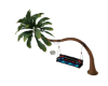 Ross sillon palm colg