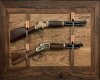 gun rack w/ 2 rifles