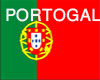 PORTOGAL -FLAG FRAME-201