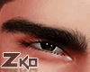 Z | Alpa Brows V2