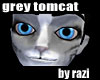Grey Tomcat Skin