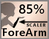 Scale ForeArm 85% F