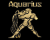 Female Aquarius T-Shirt
