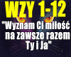 WyznamCiMiloscNaZawsze..