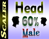 Head Resizer 50%