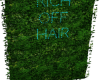 Rich Off Hair Grass Wall
