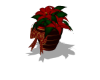 Poinsettia