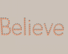 DER: Believe Sign