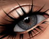 ! 2-Toned Eyes V6 - DRV