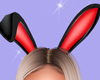 Bunny Red Ears