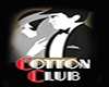 Cotton Club II