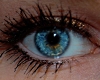 Dream blue eyes
