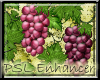 PSL Grape Vine Enhancer