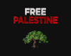 Free Palestine Stencil ~