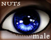 n: blue eyes M
