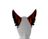 Orange Kitty Ears