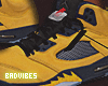 Jordan 5 Michigan