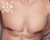 ✗Perfect Chest ✗