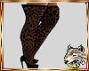 !SW! Katz Leopard Heels