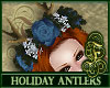 Holiday Antlers Blue