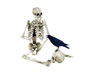 Skeleton W/Crow