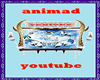youtube animad