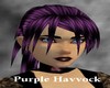 (G) Purple Havvock