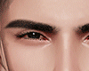 Sharp Luxe Brows