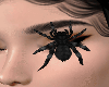 Spider Animated