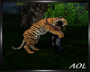 Tiger  Hug