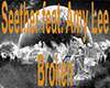 Seether (Amy Lee) Broken