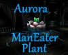 [BD]AuroraManEaterPlant