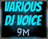 Various DJ Voice