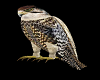 Animated Perched Hawk