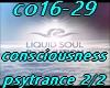 co16-29 consciousness2