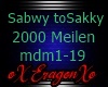 STS 2000 Mailen