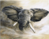 Elephant Pic 3 Animated