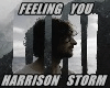 FEELING YOU Harrison S.