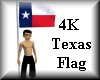 4K Texas Flag