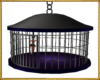 celing dance cage 10