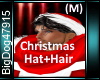 [BD]ChristmasHat+Hair