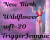 New Birth-Wildflower