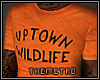M|Uptown Wildlife in Org