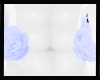 N: Snowie Body Roses 