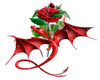 rose dragon