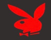 CODI PLAYBOY TEE BLACK