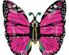 Pink Butterflys